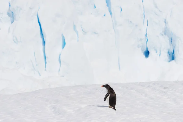 Mooie Witte Ijzige Heuvel Met Grot Antarctische Wateren — Stockfoto