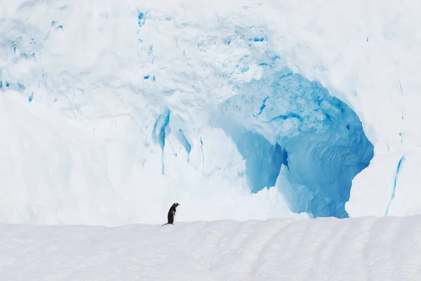 Mooie Witte Ijzige Heuvel Met Grot Antarctische Wateren — Stockfoto