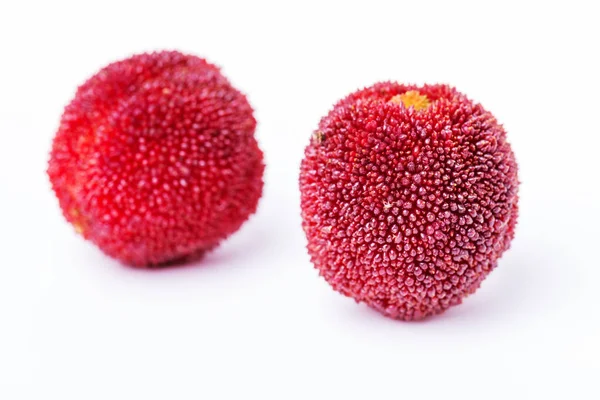 Κόκκινο Και Ώριμα Waxberries Κάτω Από Λευκό Φόντο — Φωτογραφία Αρχείου