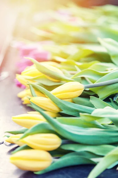 A táblázat sárga tulipánok — Stock Fotó