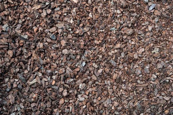 Compost mulch fragment — Stockfoto