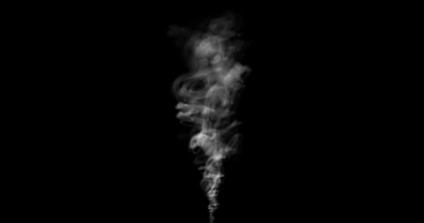 White Smoke Black Background — Stock Video