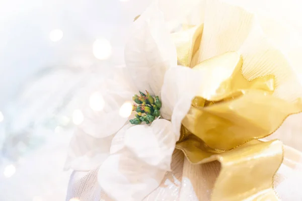 Nastro di Natale bianco fiore con sfondo bokeh — Foto Stock