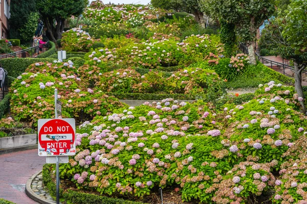 Lombard Street in San Francisco, California — Stock Photo, Image