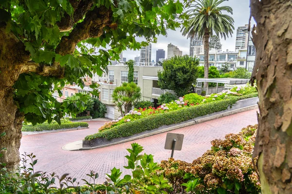 Vista da Lombard Street em São Francisco, Califórnia — Fotografia de Stock