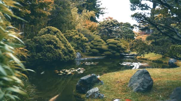 Jardim de chá japonês de São Francisco no Golden Gate Park — Vídeo de Stock