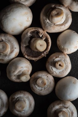 Raw champignons background