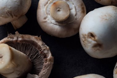 Raw champignons background
