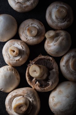 Raw champignons background