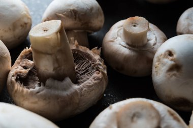 Raw champignons background