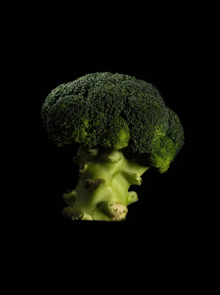 Broccoli Close Dark Background — Stock Photo, Image