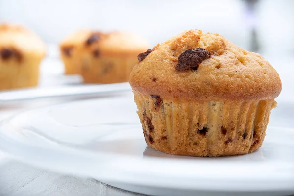 Delicious Chocolate Muffins White Background — Stock Photo, Image