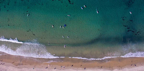Surfistas Pranchas Surf Cima Jolla Califórnia — Fotografia de Stock