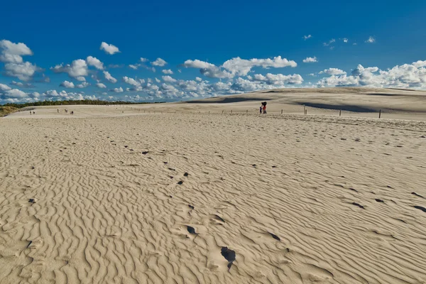 Laba Dunes Polonya Telifsiz Stok Fotoğraflar