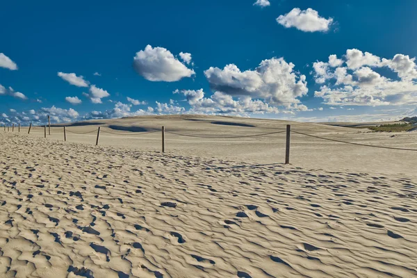 Dunas de areia infinitas de Leba na Polônia Imagens Royalty-Free