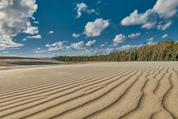 Бесконечные песчаные дюны Лебы в Польше — стоковое фото