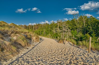 Sonsuz Sandy Dunes Leba Polonya