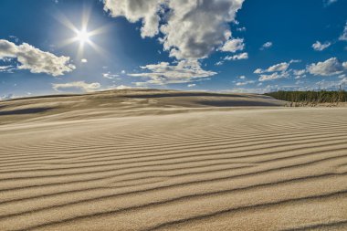 Sonsuz Sandy Dunes Leba Polonya