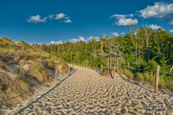 Eindeloze Sandy duinen van Leba in Polen — Stockfoto