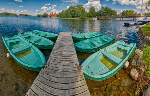 Vue Fisheye du château de Trakai Panorama — Photo