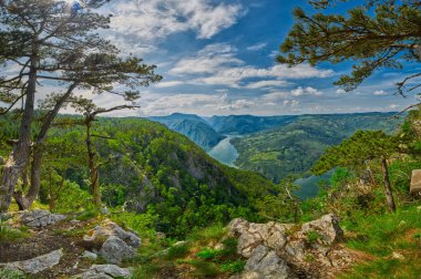 Beautiful Serbian Landscape Panorama clipart