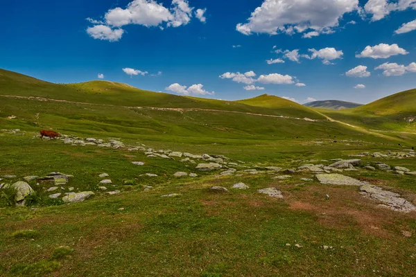 Yüksek irtifa soyut dağ manzarası 