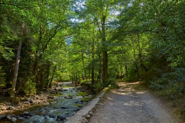 Borjomi, Gürcistan - 07 Ağustos 2017: Borjomi kasaba central park için