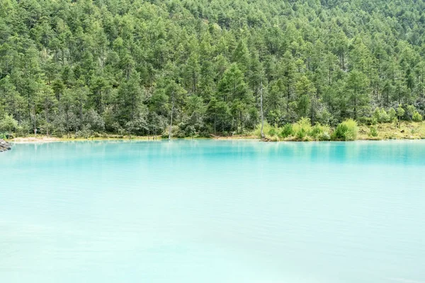 碧蓝的湖水和绿色的森林 — 图库照片