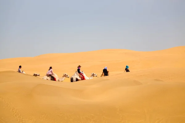 砂漠でのラクダ キャラバン — ストック写真