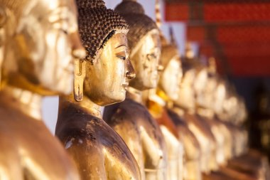 Altın buddha portre