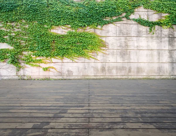 Lierre sur mur avec plancher en bois — Photo