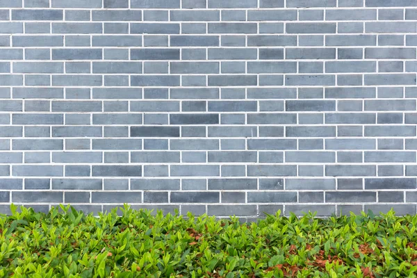 Fondo de pared de ladrillo tradicional — Foto de Stock