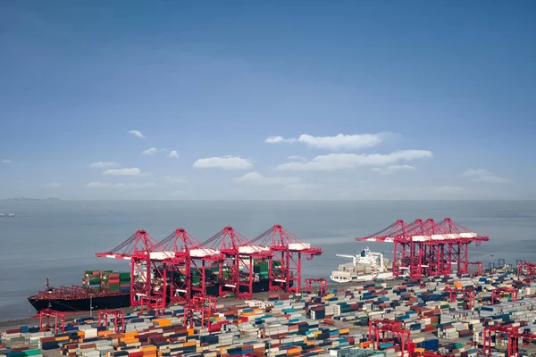 Ocean container terminal — Stock Photo, Image
