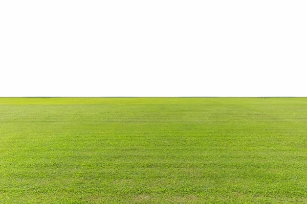 Green lawn isolated — Stock Photo, Image