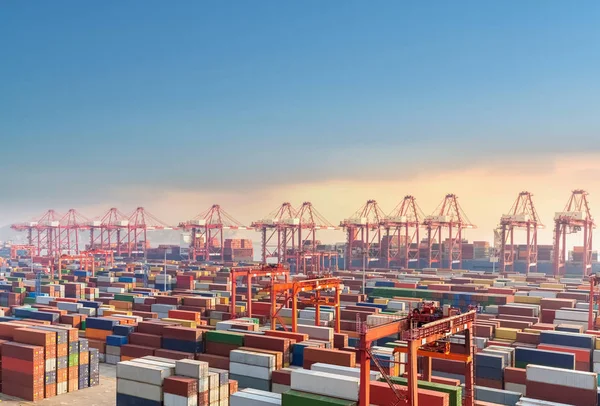 Shanghai container terminal at dusk — Stock Photo, Image