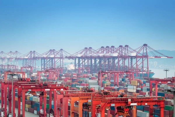 Konteyner terminal portre