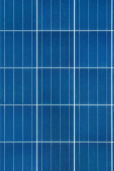 Güneş enerjisi paneli portre