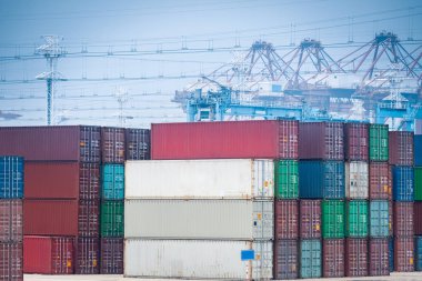 Konteyner Bahçe bakış