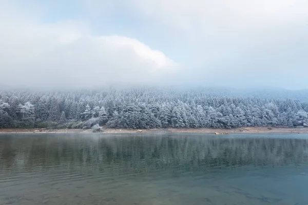 Lago invernale e foresta — Foto Stock