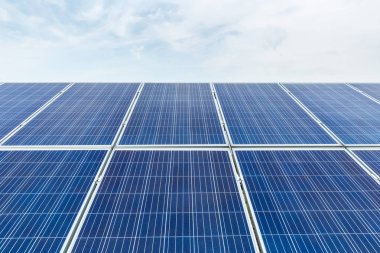 güneş paneli portre