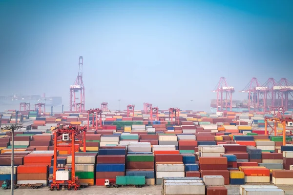 Shanghai container port in morning fog — Stock Photo, Image