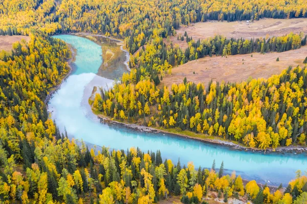 秋天里新疆喀纳河景观鸟瞰 — 图库照片