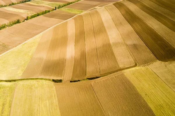 Luftaufnahme Der Landwirtschaftlichen Textur Hintergrund Herbst Region Xinjiang China — Stockfoto