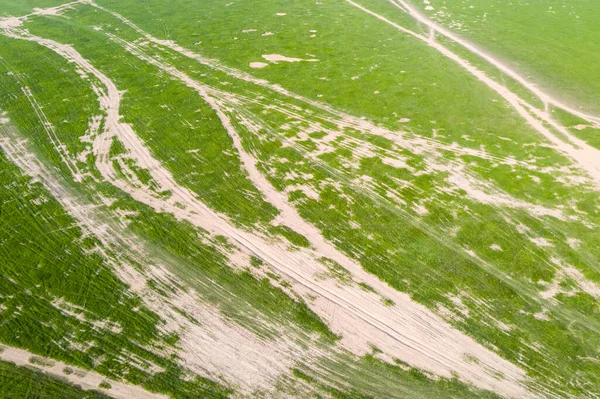 Kurak Mevsimde Poyang Gölü Kıyısındaki Çimlerin Araba Yollarının Havadan Görünüşü — Stok fotoğraf