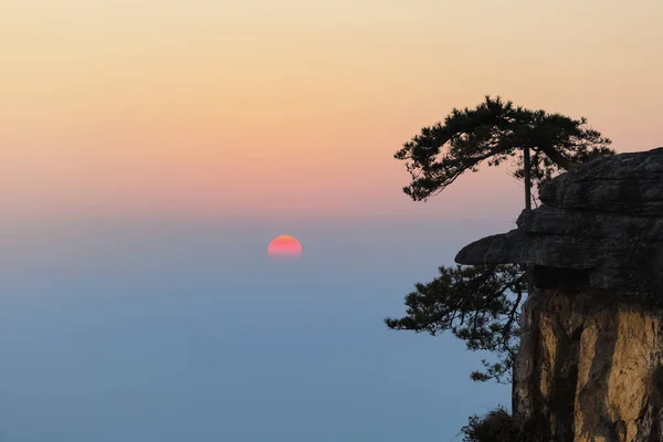 Untergehende Sonne Und Kiefern Mit Klippen Schöne Üppige Berglandschaft China — Stockfoto