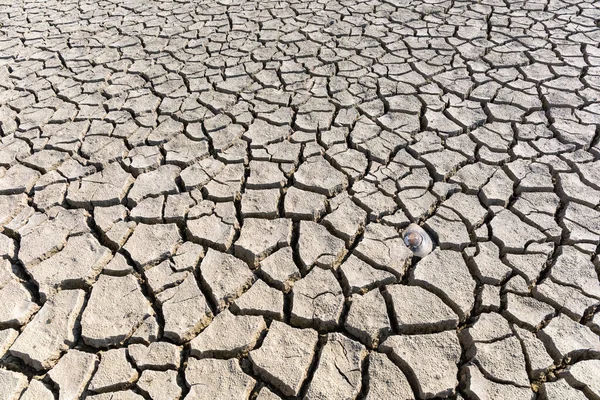 Dry Cracked Ground Texture Drought Land Background — Stock Photo, Image