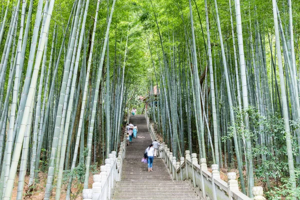 Bosque Bambú Verde Una Pasarela Pasos Que Conduce Una Montaña —  Fotos de Stock