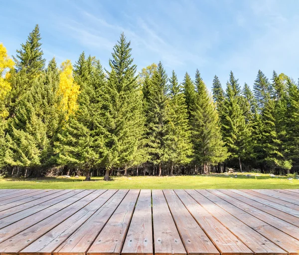 Krásné Lesní Pozadí Dřevěnou Podlahovou Cestu Začátku Podzimu — Stock fotografie