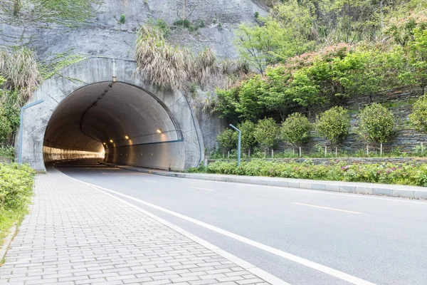 Túnel Parque Forestal —  Fotos de Stock