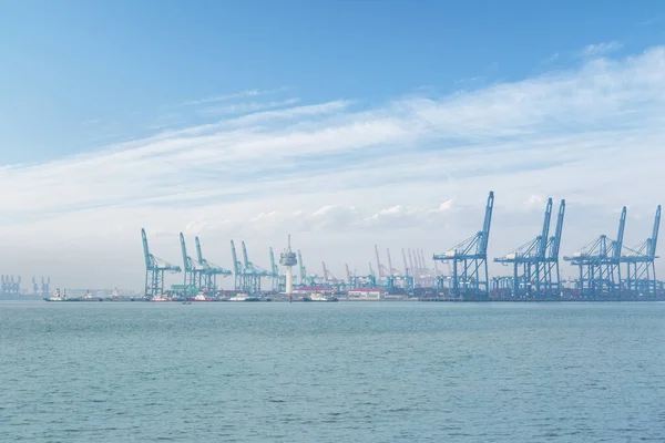 Terminal Kontenerowy Tianjin Port Jest Bramą Morza Chiny — Zdjęcie stockowe